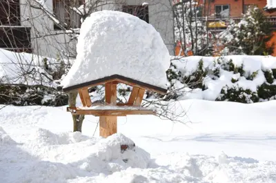 Pension Schmidinger im Winter