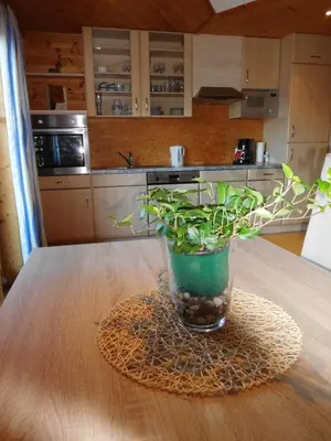 Küche/Küchenzeile in der Unterkunft Apartment Aschaber