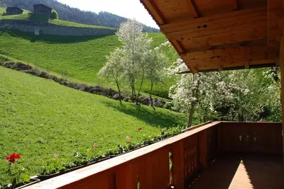 Ein Garten an der Unterkunft Blaserhof Hainzenberg