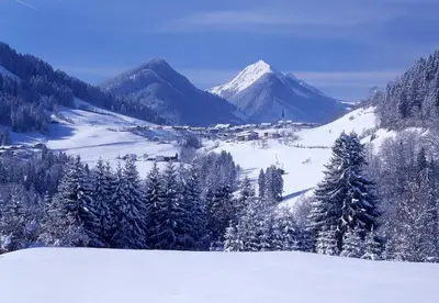 Haus Enzian im Winter