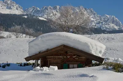 Appartementhaus Mühlberger im Winter