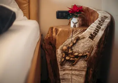 Ein Bett oder Betten in einem Zimmer der Unterkunft Appartement Aschbach
