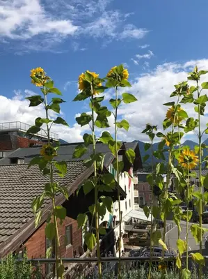 Naturlandschaft in der Nähe der Ferienwohnung