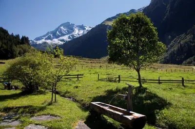 Naturlandschaft in der Nähe der Pension
