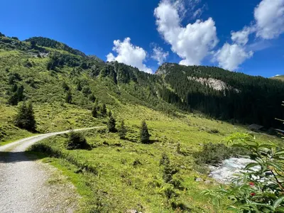 Naturlandschaft in der Nähe der Ferienwohnung