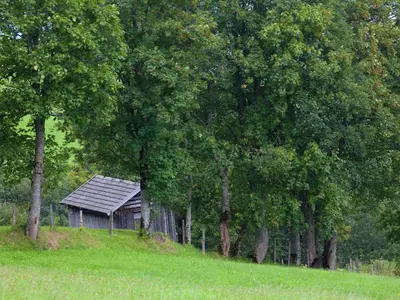 Naturlandschaft in der Nähe der Ferienwohnung