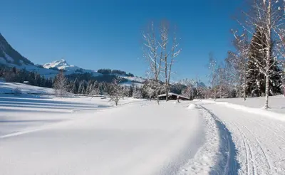 Ferienwohnung Simair im Winter