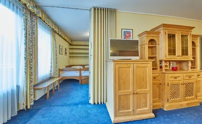 TV/Unterhaltungsangebot in der Unterkunft Appartement Lacher