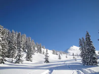 Appartementhaus Eberharter im Winter