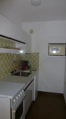 Küche/Küchenzeile in der Unterkunft Apartement Hasenauer