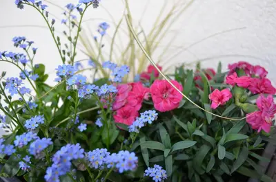 Ein Garten an der Unterkunft Ferienwohnung Eberharter