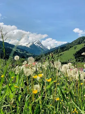 Naturlandschaft in der Nähe des Hotels