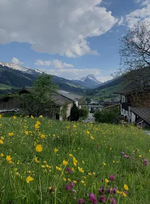 Naturlandschaft in der Nähe des Hotels