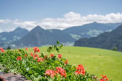 Naturlandschaft in der Nähe der Pension