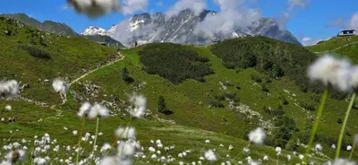 Naturlandschaft in der Nähe der Ferienwohnung
