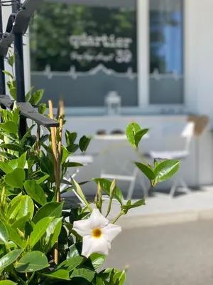 Ein Garten an der Unterkunft quartier39