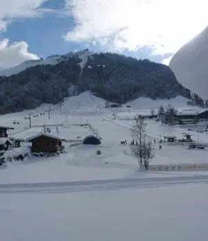 Ferienwohnung Biechl-Hauser Doris im Winter