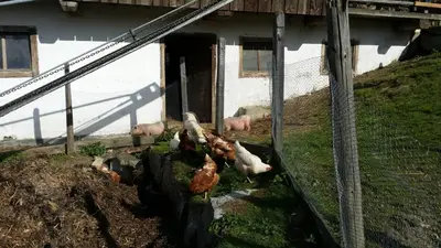 Grundriss der Unterkunft Mobilheim Seezauber