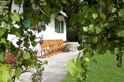 Ein Garten an der Unterkunft Haus Waldhof