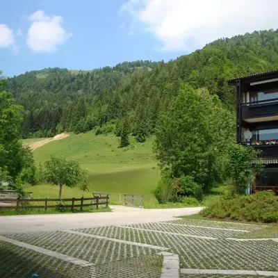 Oostenrijk-walchsee-Hasewinkel
