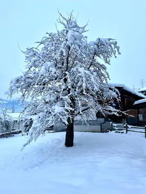 Stöcklgut Ferienhaus im Winter