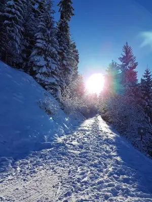 Ferienwohnung Point im Winter