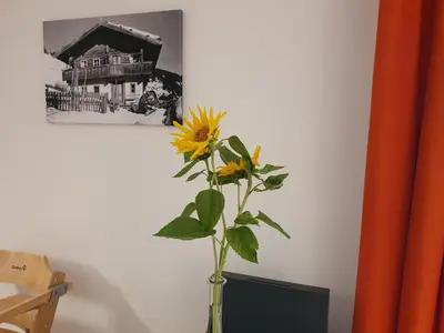 Grundriss der Unterkunft Apartment 