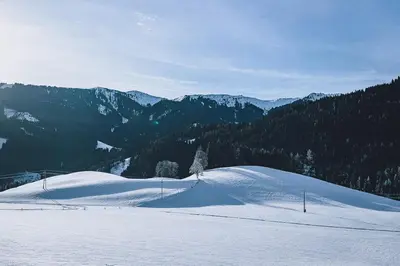 Appartement Adamhof Spielberg Leogang im Winter
