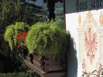 Ein Garten an der Unterkunft Ferienwohnung Apartment Haus Ager