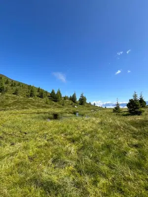 Naturlandschaft in der Nähe der Ferienwohnung