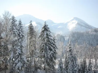 Ein allgemeiner Bergblick oder ein Berglick von der Ferienwohnung aus