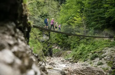 Naturlandschaft in der Nähe der Ferienwohnung