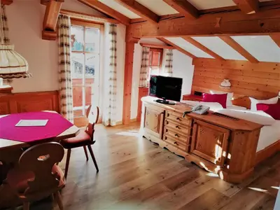 TV/Unterhaltungsangebot in der Unterkunft Hotel Gut Kramerhof