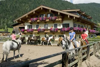 Tiere im Hotel oder in der Nähe