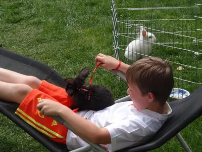 Tiere in der Ferienwohnung oder in der Nähe