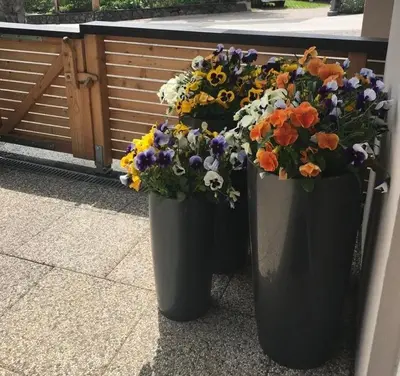 Grundriss der Unterkunft Wittner's