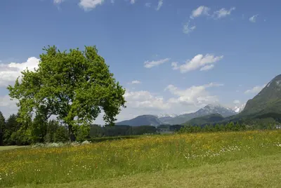 Naturlandschaft in der Nähe der Pension