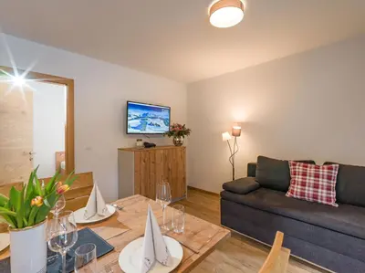 TV/Unterhaltungsangebot in der Unterkunft Echt Woods Appartements
