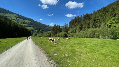 Naturlandschaft in der Nähe der Ferienwohnung