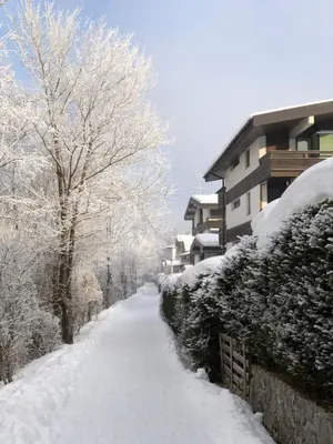 Haizelrock im Winter