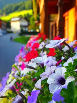 Ein Garten an der Unterkunft Tischlerwirt