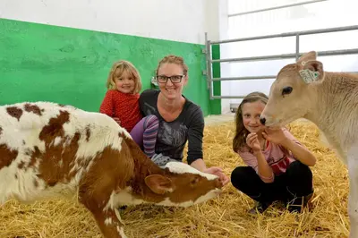 Tiere in diesem Bauernhof oder in der Nähe