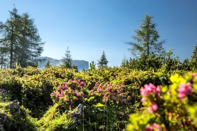 Naturlandschaft in der Nähe des Hotels