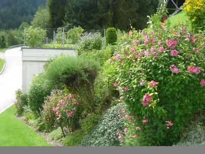 Ein Garten an der Unterkunft Ferienwohnungen Kainer