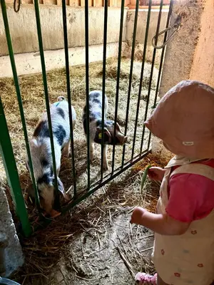Tiere in der Ferienwohnung oder in der Nähe