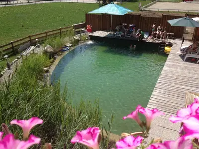 Der Swimmingpool an oder in der Nähe von Reitanlage Dagnhof