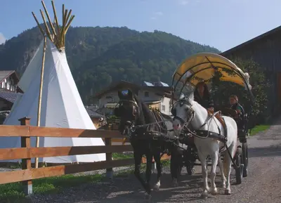 Gäste, die in der Unterkunft Reitanlage Dagnhof übernachten