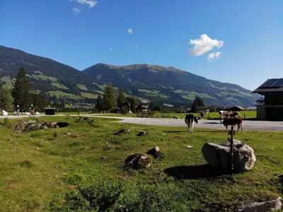 Naturlandschaft in der Nähe des Hotels