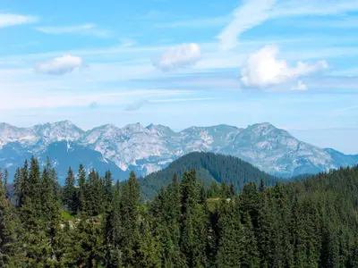 Naturlandschaft in der Nähe der Ferienwohnung