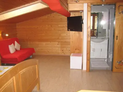 TV/Unterhaltungsangebot in der Unterkunft Appartements Rofangarten